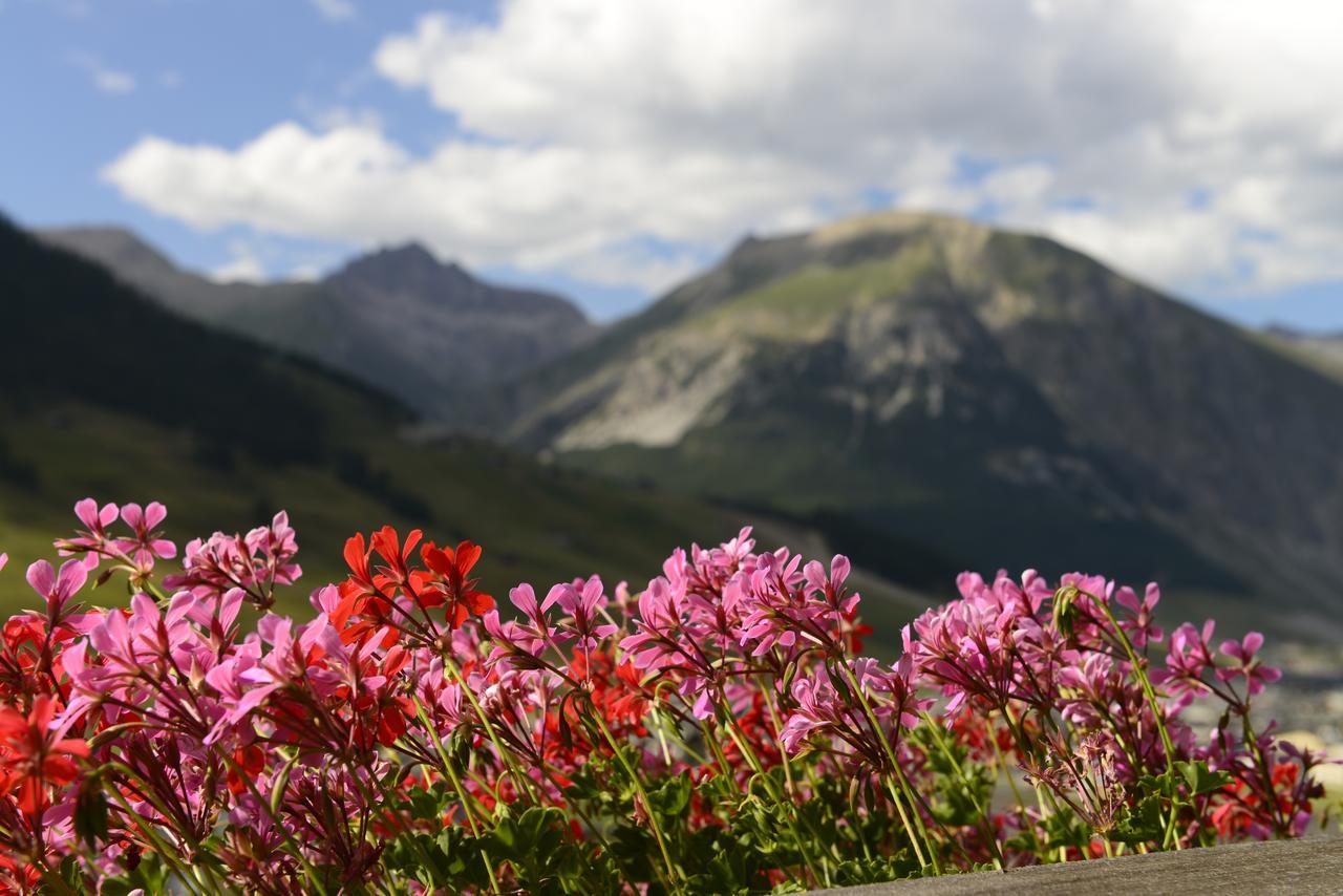 Chalet Garden Λιβίνιο Εξωτερικό φωτογραφία